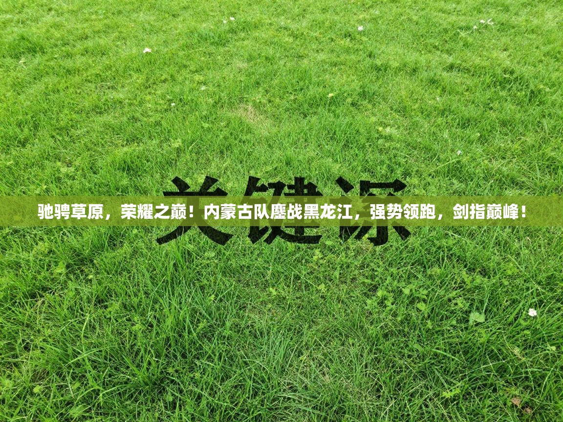 驰骋草原,荣耀之巅!内蒙古队鏖战黑龙江,强势领跑,剑指巅峰! 第1张